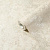 Обои 8687-23 NEW AGe 1,06*10,05(6
