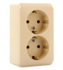 Розетка ОУ 2-м с з/к 16А/250В слон. кость ЭТЮД-LEXEL PA16-007K