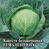 Семена Капуста белокочанная Валентина F1 (0,1 гр) для хранения Г