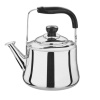 Чайник HTSNR9, нерж.сталь 3л
