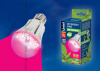 Лампа с/д  для растений. LED-A60-9W/SP/E27/CL ALM01WH Форма "A"