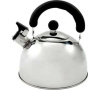 Чайник газовый DO-2902 (3,0л) нерж.сталь, бакелит ручка Добрыня