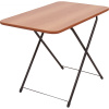 Стол складной (ТСТ миланский орех)