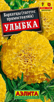 6c913b9f_1536_11e7_aaf5_e4115badda84_be353c48_053f_11ea_80e5_0cc47adb9c64