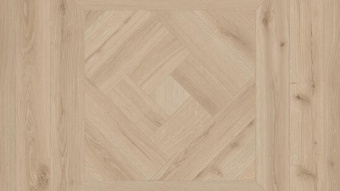 THH_Gladiator_Bento_1