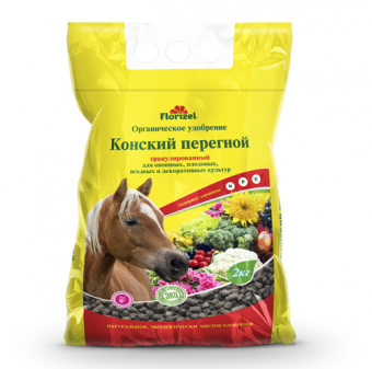 500x500.216216621a95f7e