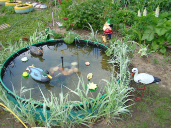 b16923eebb76cb212e57ca3588495601