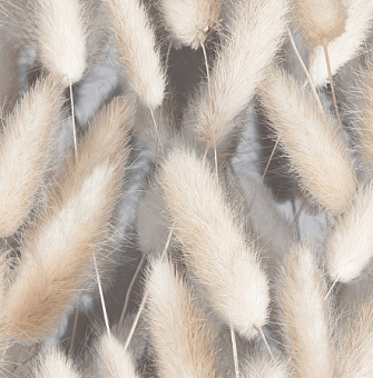 z8vn4imff7vhek63qh72xyts29vrre7k