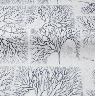 fw32av1e2sdnpd9iv057nzf9kdctn91d