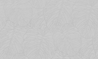 8iep8m7beuduj4ss5kfdbsxsl39lni6t