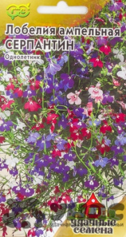 74824p1x061auyhn1zbk8yvdd6mutxho