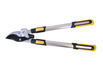 900da9b11a1d11edad3700505690a4dd_b36c96b6c1a311ed976b00505690a4dd.resize1