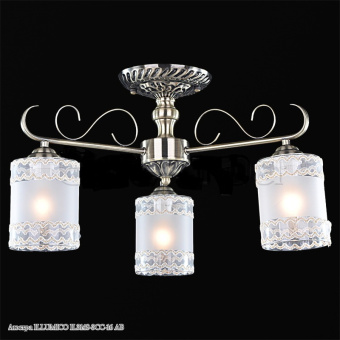 il3148_3cc_16_ab_svetil_nik_potolochnyy