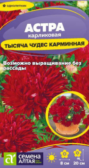 laex0eu1p1t1f6j6tdx7f5j4ybped3ed