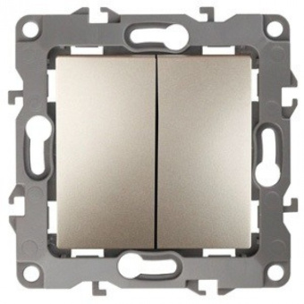 ecoferma73-era-12-meh-vyklyuchatel-su-2-kl-10a-250v-shampan-12-1104-04-b0014648-e553459-493282932-650x650