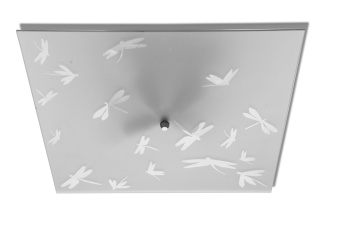 strekoza_seroye_dr_rakurs