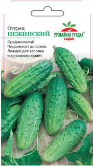 ogurets_nezhinskiy_12