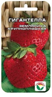 d42d66bd8bfabf8a6e4e47339af52422