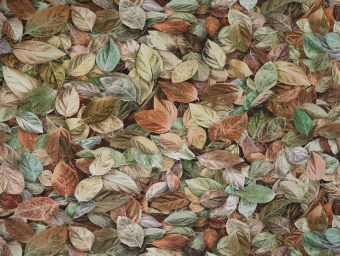 a187099f120f7605e401d4383c006ca5