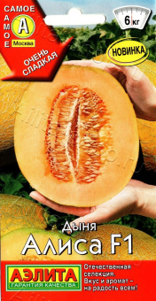 766o6nkoboe613w05xxb1jiszi2o3th3