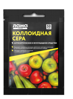 97401af8_52f9_11ef_ab86_ecebb88ad26f_1cff68d0_dee4_11ef_ab88_ecebb88ad26f