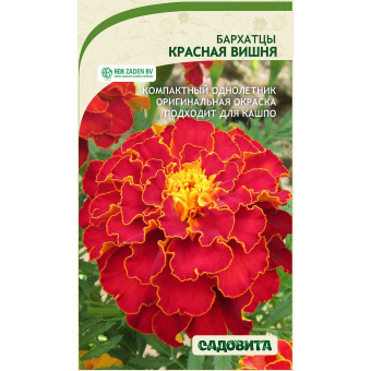 vck3vza4r6fdzy85vwwljgjc6wknw3zj