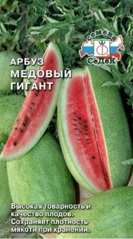 arbuz_medovyy_gigant
