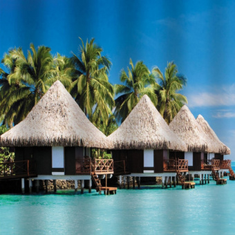 9e544aea-50f4-11ec-9c48-7085c2a2d655_9e544aeb-50f4-11ec-9c48-7085c2a2d655-550x550