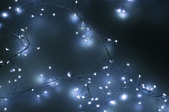 c0ce4ccc3c7d5b676adf091669668890