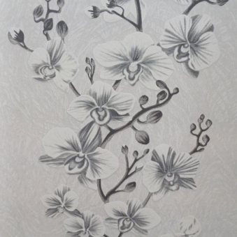 ir1k04j4ylst7j2dtr3sbhabgp7ddhmy