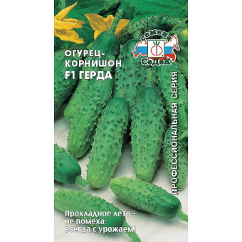 2ccuoomewfqtdaybk7uzd0h6wmh3muin