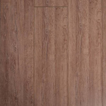 _Аполлон-600x600-500x500