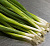 Семена Лук на зелень Белое перо Гавриш б/п
