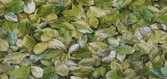 3f58ca6e9cc437d04e51e7f78f63ed92