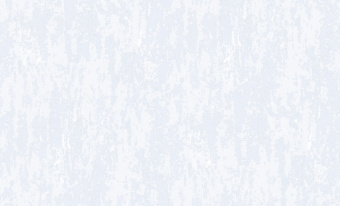 60795-07-rap-oboykin-erismann-amoricci