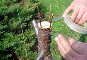 9ce1ac1e-3ce4-11ea-8114-a4bf0109ab4a_63684d63-3ce6-11ea-8114-a4bf0109ab4a