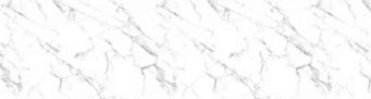 ocr (11)