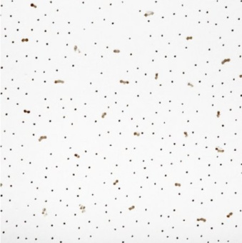 ur8t42g2wjgs1jxj8k4hoy9j1kdmwreg