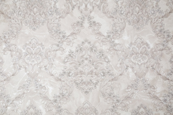 CAT_MACRO_PHOTOsI_FM72382-22_(1)