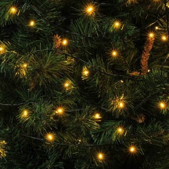 d1b57cc4d4f81c6fb08fd4f60fab63ba