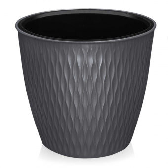 500x500.36f6697d01d76fd5