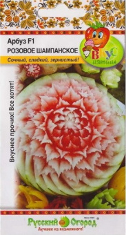 7ff693166e4c860f7f49f3a8a13c01fd