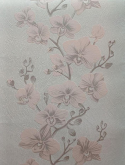 r80vx9ykw3974qtj2yxr989k7x1mjgnt