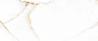 9gwzuvoulp3qfc9010rmdjrs2p6asjrp