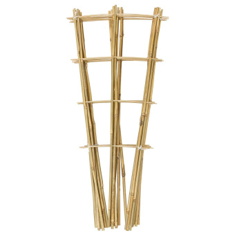 cdi1ce3lgi284q6i2ii824gagc0bz2uy