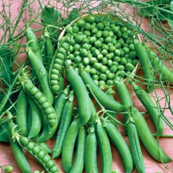 bce7b17d-760f-11eb-8101-00155d386501_219a2635-a991-11eb-8106-00155d386501-400x400