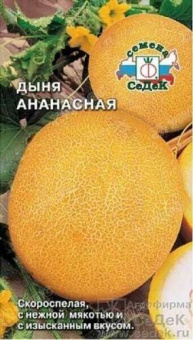 ocr